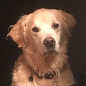 Meet your Posher, Janice